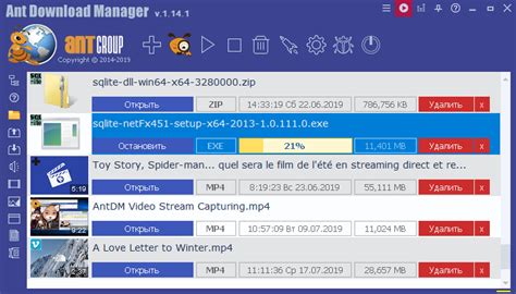 Download Ant Download Manager